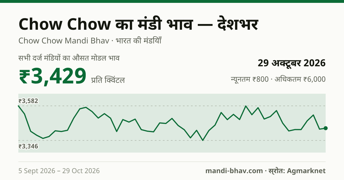 देशभर में Chow Chow का मंडी भाव 29 अक्टूबर 2026: औसत मोडल ₹3,447 प्रति क्विंटल, भाव के रुझान का चार्ट