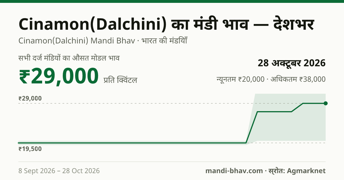 देशभर में Cinamon(Dalchini) का मंडी भाव 28 अक्टूबर 2026: औसत मोडल ₹29,000 प्रति क्विंटल, भाव के रुझान का चार्ट