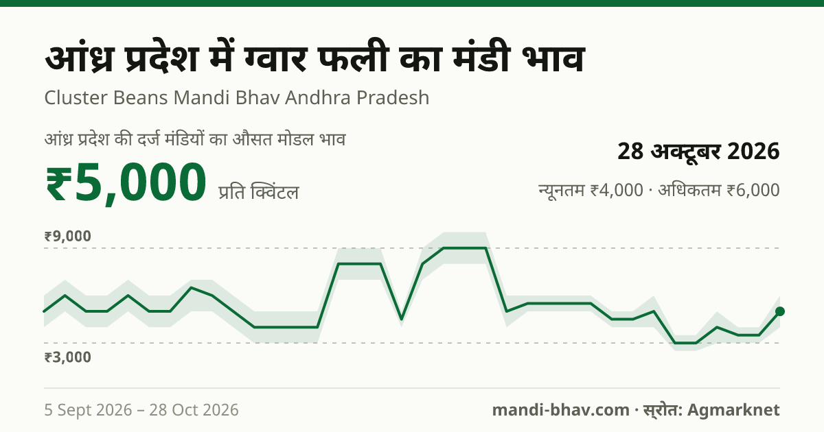 आंध्र प्रदेश में ग्वार फली का मंडी भाव 28 अक्टूबर 2026: औसत मोडल ₹5,000 प्रति क्विंटल, भाव के रुझान का चार्ट