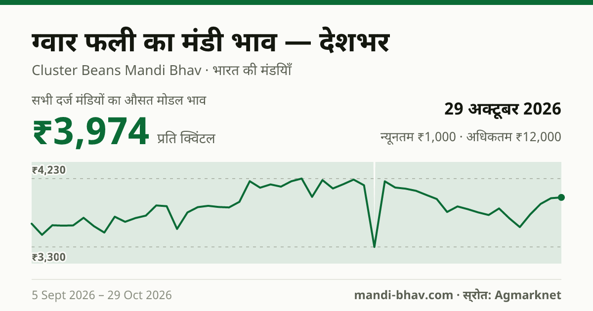 देशभर में ग्वार फली का मंडी भाव 29 अक्टूबर 2026: औसत मोडल ₹3,835 प्रति क्विंटल, भाव के रुझान का चार्ट