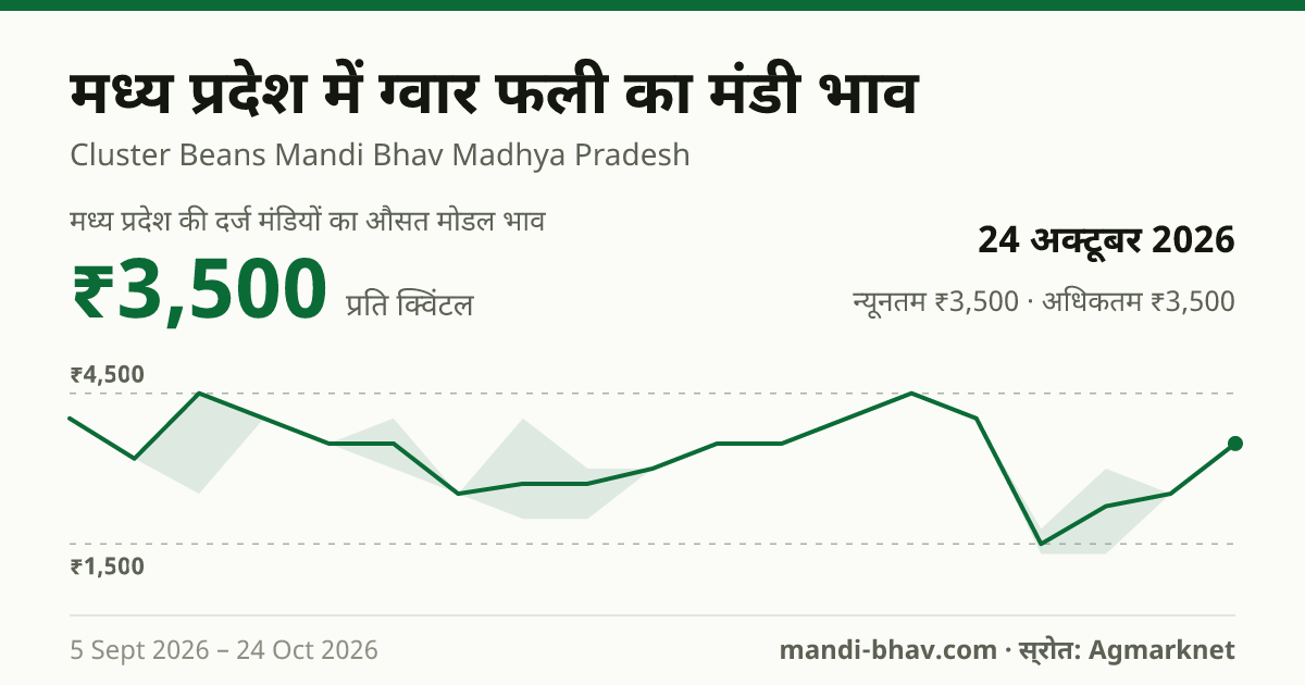मध्य प्रदेश में ग्वार फली का मंडी भाव 24 अक्टूबर 2026: औसत मोडल ₹3,500 प्रति क्विंटल, भाव के रुझान का चार्ट