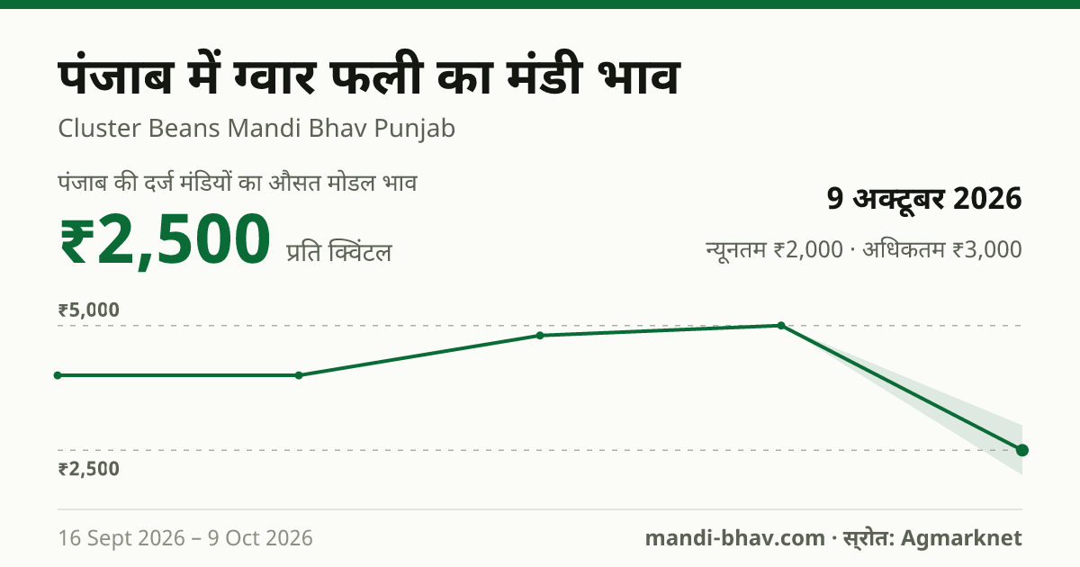 पंजाब में ग्वार फली का मंडी भाव 9 अक्टूबर 2026: औसत मोडल ₹2,500 प्रति क्विंटल, भाव के रुझान का चार्ट