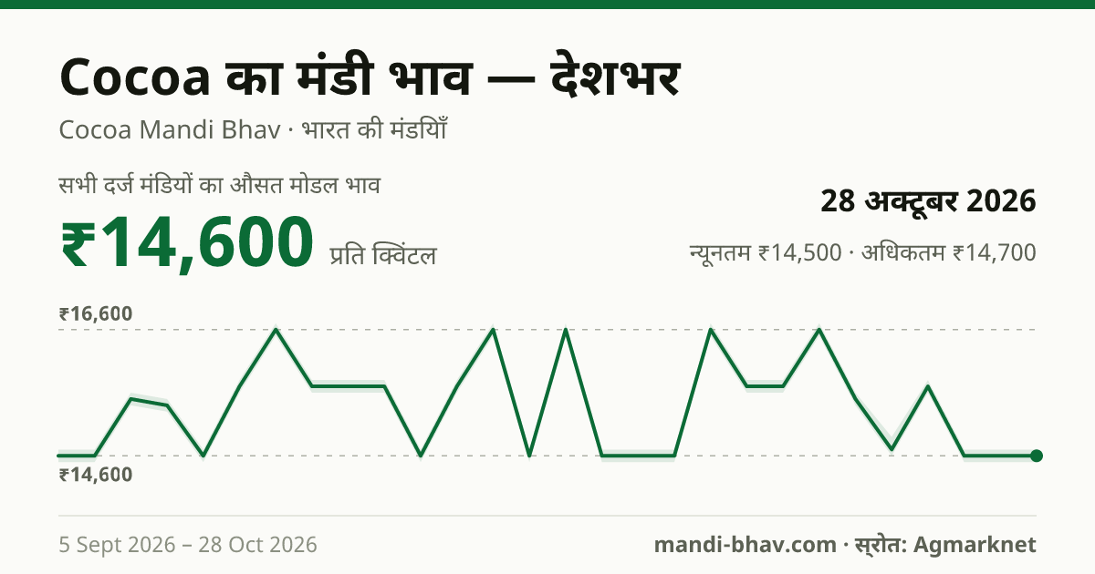 देशभर में Cocoa का मंडी भाव 28 अक्टूबर 2026: औसत मोडल ₹14,600 प्रति क्विंटल, भाव के रुझान का चार्ट