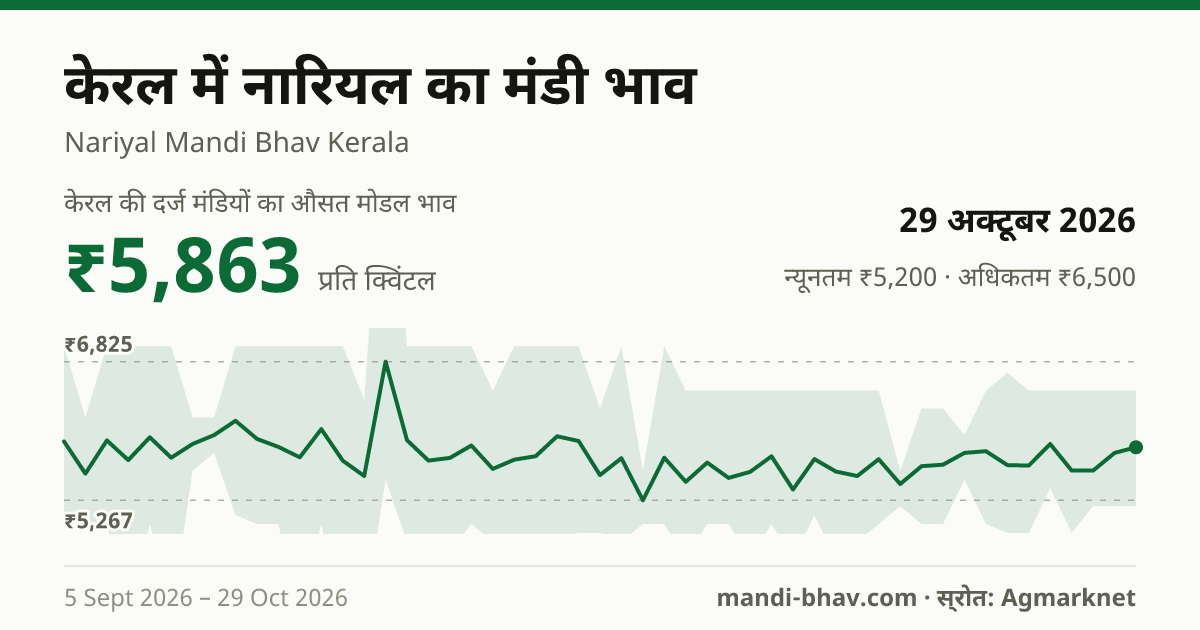 केरल में नारियल का मंडी भाव 29 अक्टूबर 2026: औसत मोडल ₹5,843 प्रति क्विंटल, भाव के रुझान का चार्ट