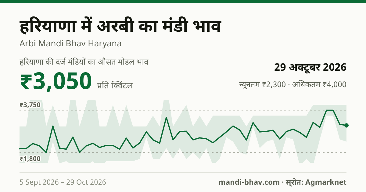 हरियाणा में अरबी का मंडी भाव 29 अक्टूबर 2026: औसत मोडल ₹3,050 प्रति क्विंटल, भाव के रुझान का चार्ट
