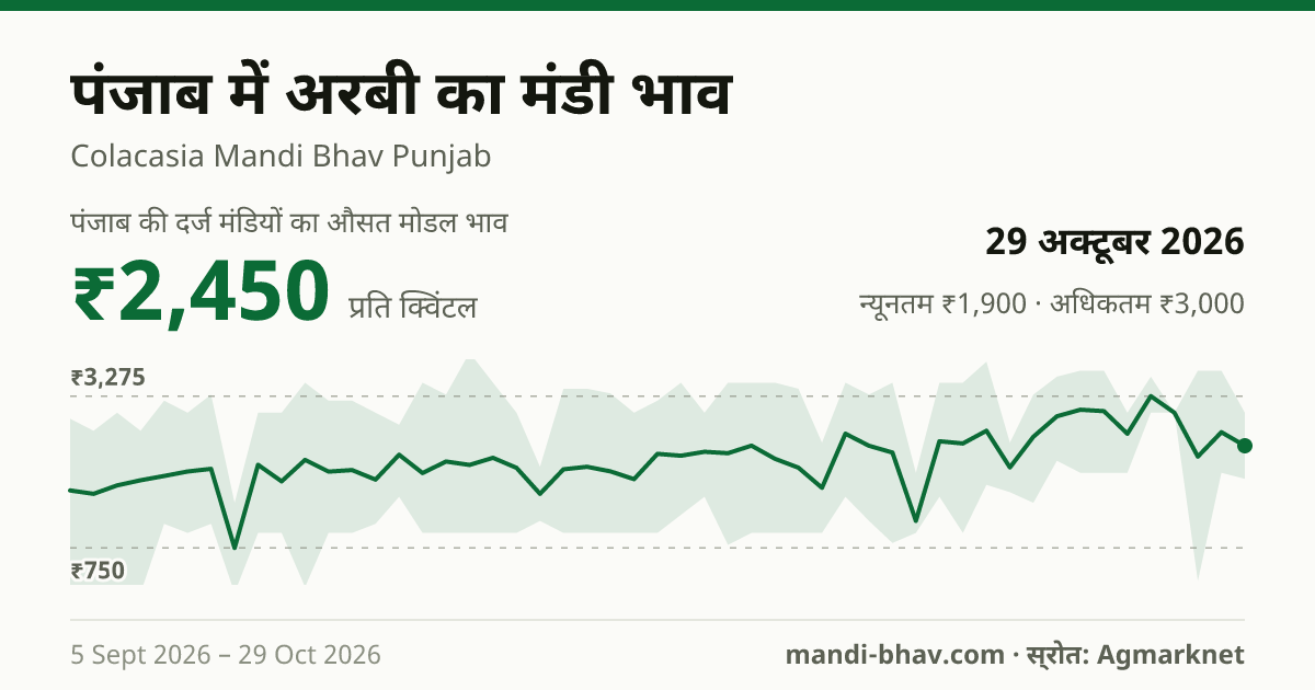 पंजाब में अरबी का मंडी भाव 29 अक्टूबर 2026: औसत मोडल ₹2,450 प्रति क्विंटल, भाव के रुझान का चार्ट