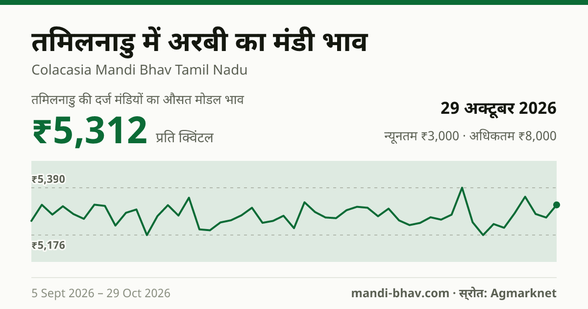 तमिलनाडु में अरबी का मंडी भाव 29 अक्टूबर 2026: औसत मोडल ₹5,312 प्रति क्विंटल, भाव के रुझान का चार्ट
