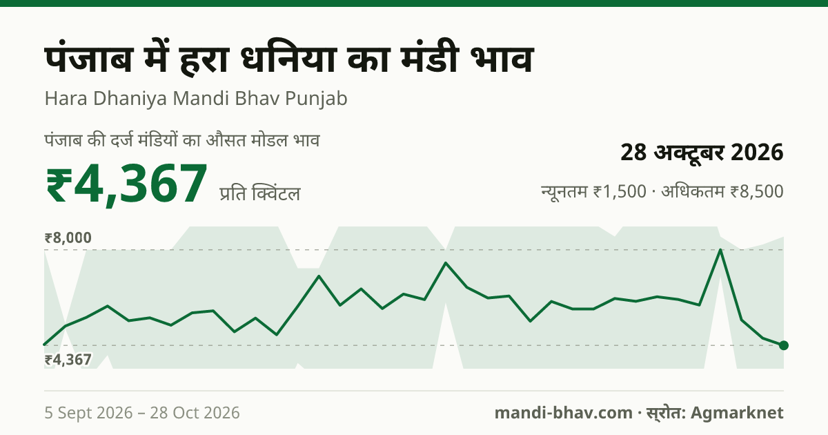 पंजाब में हरा धनिया का मंडी भाव 28 अक्टूबर 2026: औसत मोडल ₹4,367 प्रति क्विंटल, भाव के रुझान का चार्ट