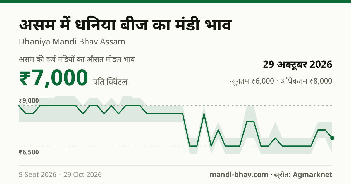 असम में धनिया बीज का मंडी भाव 29 अक्टूबर 2026: औसत मोडल ₹7,000 प्रति क्विंटल, भाव के रुझान का चार्ट