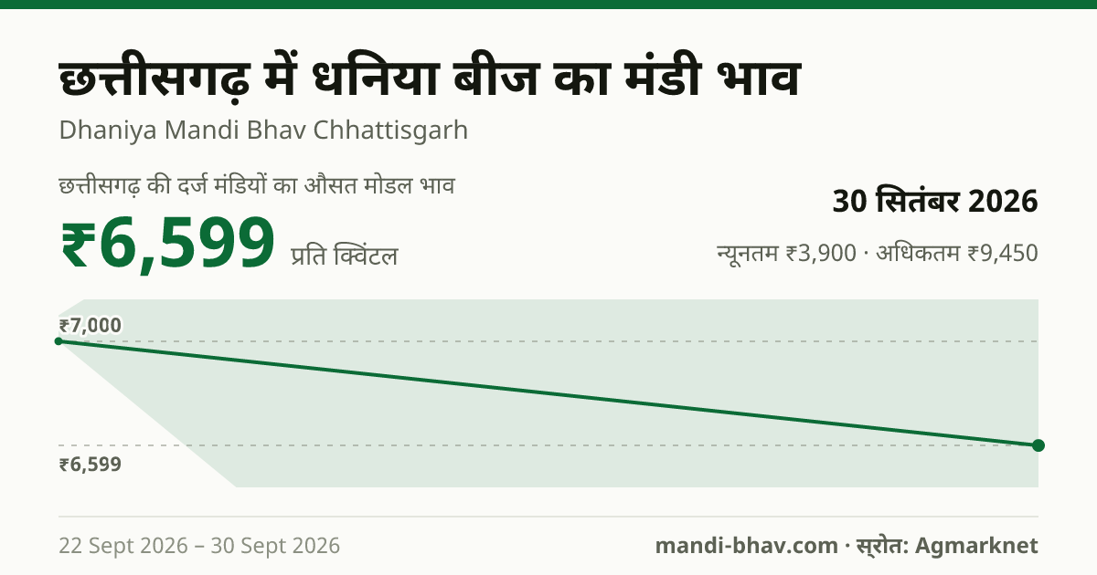 छत्तीसगढ़ में धनिया बीज का मंडी भाव 30 सितंबर 2026: औसत मोडल ₹6,599 प्रति क्विंटल, भाव के रुझान का चार्ट