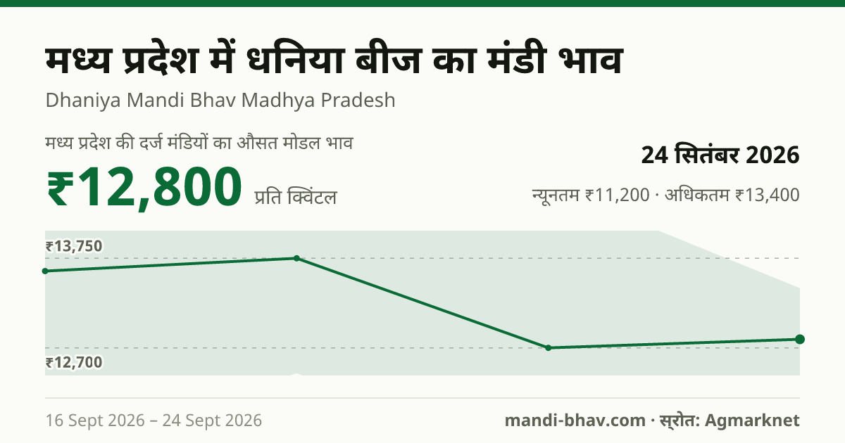 मध्य प्रदेश में धनिया बीज का मंडी भाव 24 सितंबर 2026: औसत मोडल ₹12,800 प्रति क्विंटल, भाव के रुझान का चार्ट
