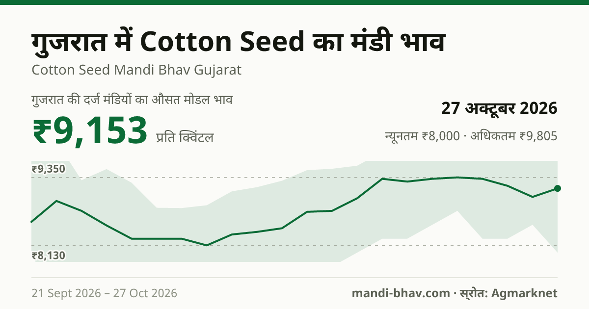 गुजरात में Cotton Seed का मंडी भाव 27 अक्टूबर 2026: औसत मोडल ₹9,153 प्रति क्विंटल, भाव के रुझान का चार्ट