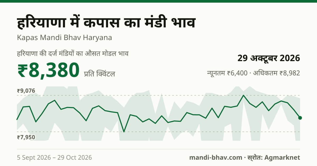 हरियाणा में कपास का मंडी भाव 29 अक्टूबर 2026: औसत मोडल ₹8,380 प्रति क्विंटल, भाव के रुझान का चार्ट