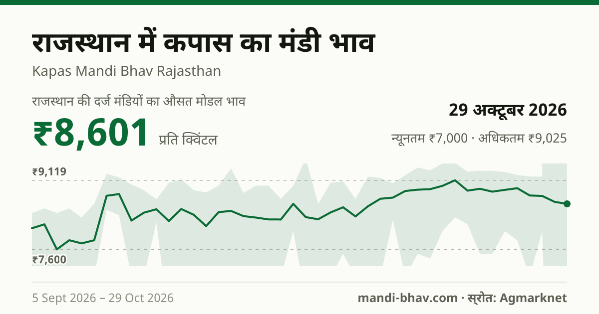 राजस्थान में कपास का मंडी भाव 29 अक्टूबर 2026: औसत मोडल ₹8,383 प्रति क्विंटल, भाव के रुझान का चार्ट
