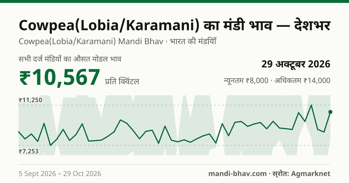देशभर में Cowpea(Lobia/Karamani) का मंडी भाव 29 अक्टूबर 2026: औसत मोडल ₹11,400 प्रति क्विंटल, भाव के रुझान का चार्ट