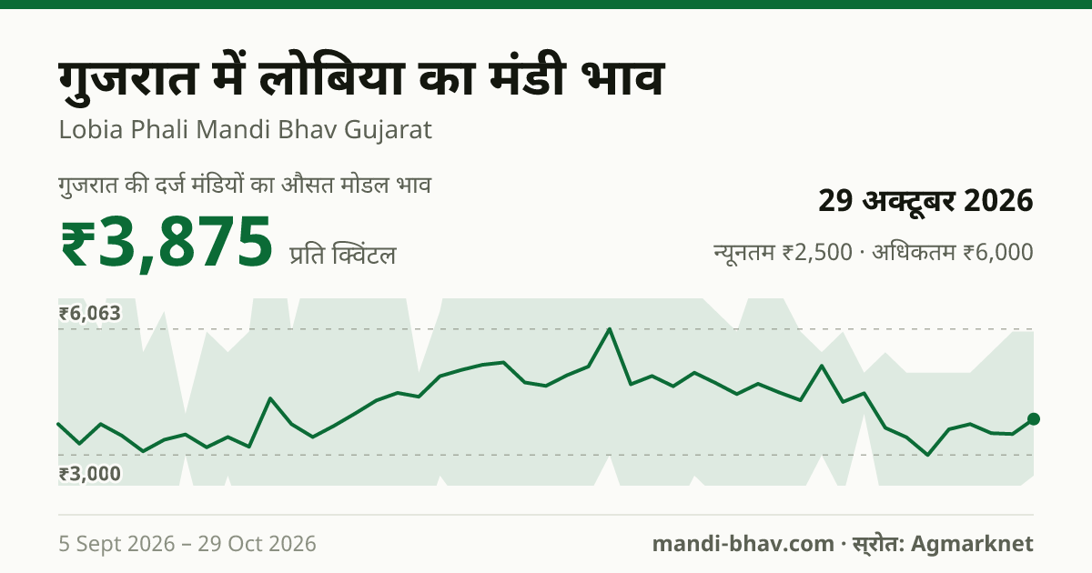 गुजरात में लोबिया का मंडी भाव 29 अक्टूबर 2026: औसत मोडल ₹3,875 प्रति क्विंटल, भाव के रुझान का चार्ट