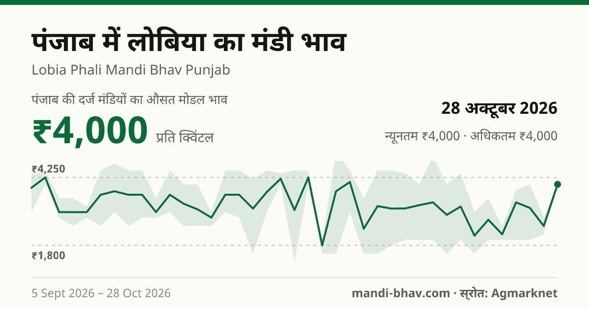 पंजाब में लोबिया का मंडी भाव 28 अक्टूबर 2026: औसत मोडल ₹4,000 प्रति क्विंटल, भाव के रुझान का चार्ट