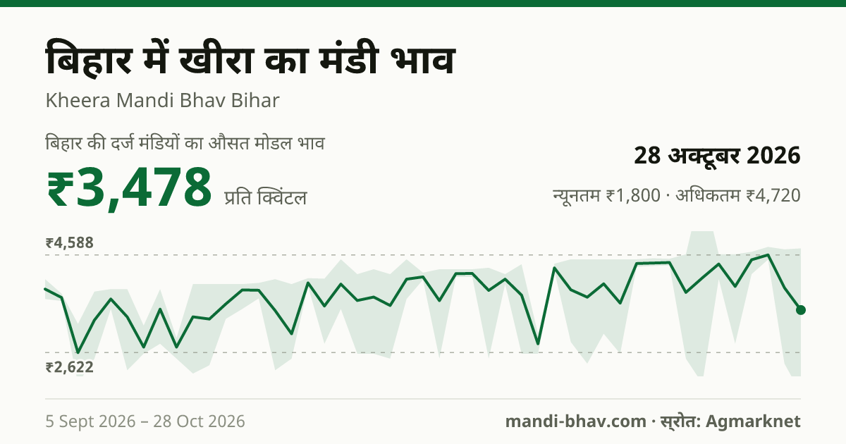 बिहार में खीरा का मंडी भाव 28 अक्टूबर 2026: औसत मोडल ₹3,478 प्रति क्विंटल, भाव के रुझान का चार्ट