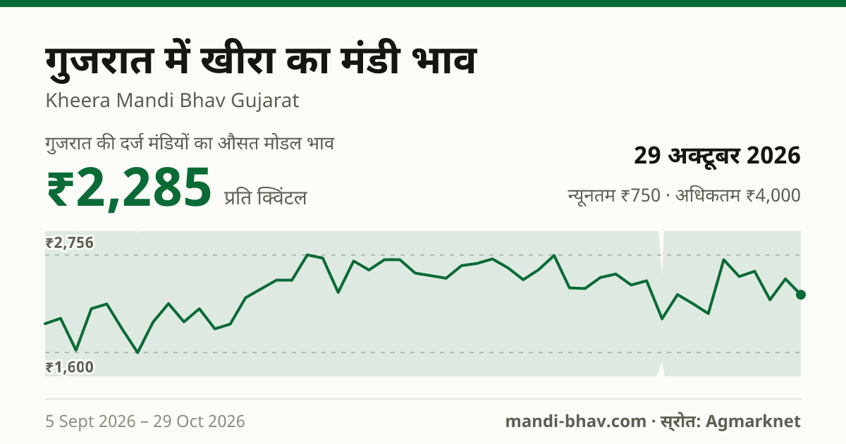 गुजरात में खीरा का मंडी भाव 29 अक्टूबर 2026: औसत मोडल ₹2,285 प्रति क्विंटल, भाव के रुझान का चार्ट