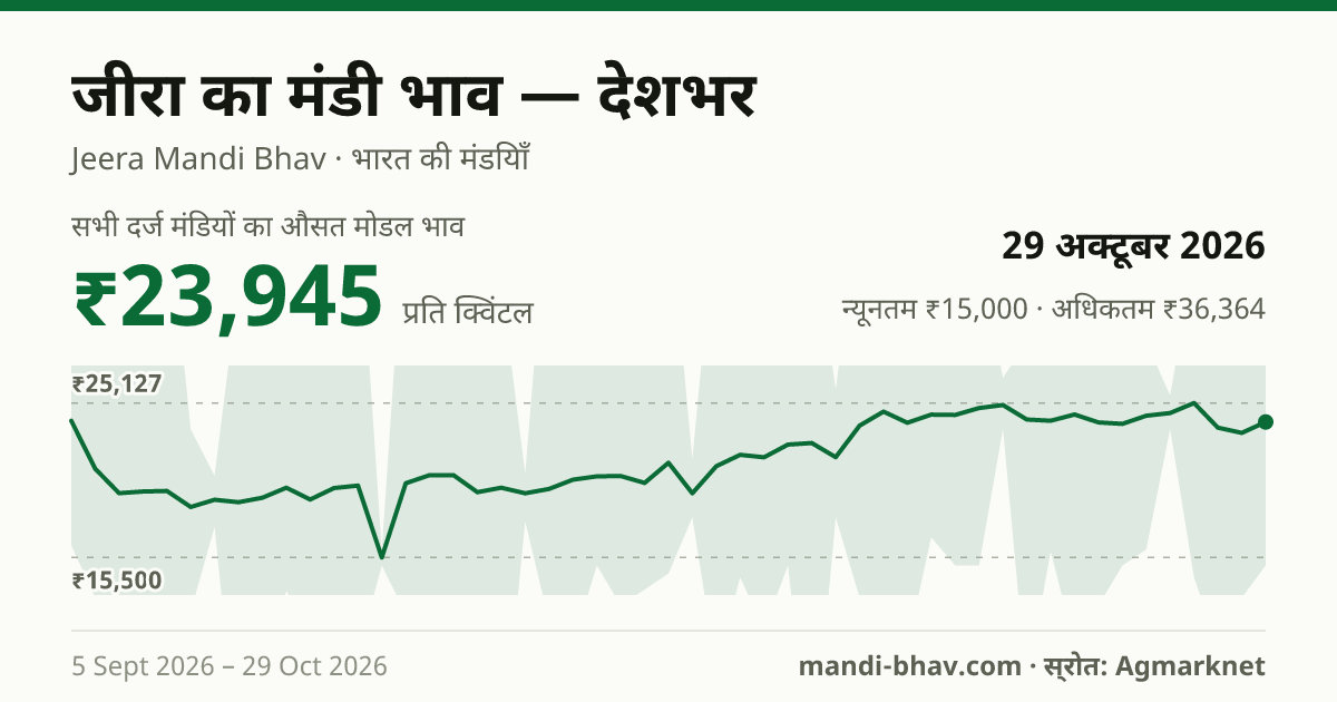 देशभर में जीरा का मंडी भाव 29 अक्टूबर 2026: औसत मोडल ₹23,827 प्रति क्विंटल, भाव के रुझान का चार्ट
