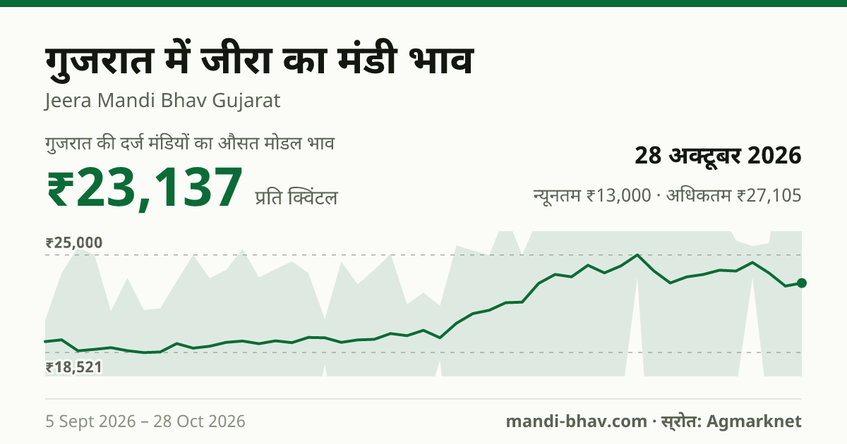 गुजरात में जीरा का मंडी भाव 28 अक्टूबर 2026: औसत मोडल ₹23,137 प्रति क्विंटल, भाव के रुझान का चार्ट