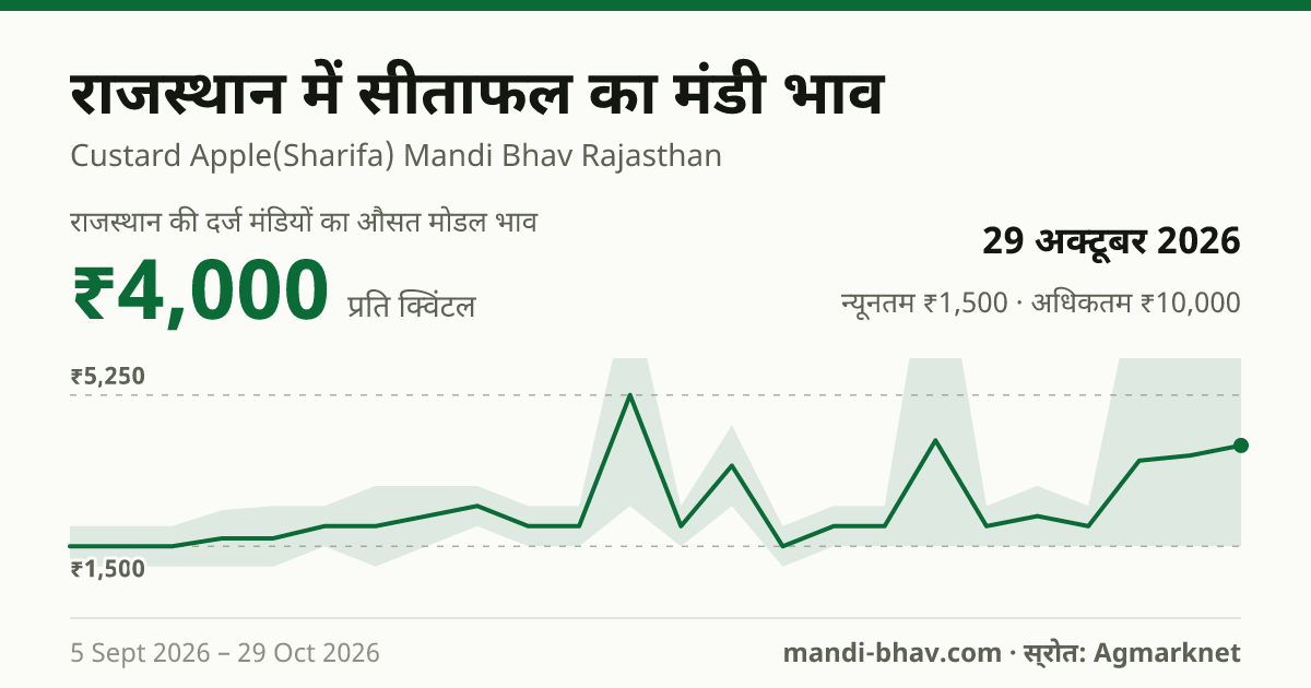 राजस्थान में सीताफल का मंडी भाव 29 अक्टूबर 2026: औसत मोडल ₹4,000 प्रति क्विंटल, भाव के रुझान का चार्ट