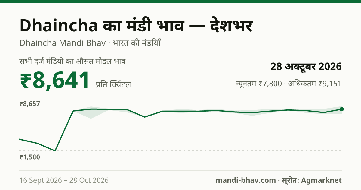 देशभर में Dhaincha का मंडी भाव 28 अक्टूबर 2026: औसत मोडल ₹8,641 प्रति क्विंटल, भाव के रुझान का चार्ट