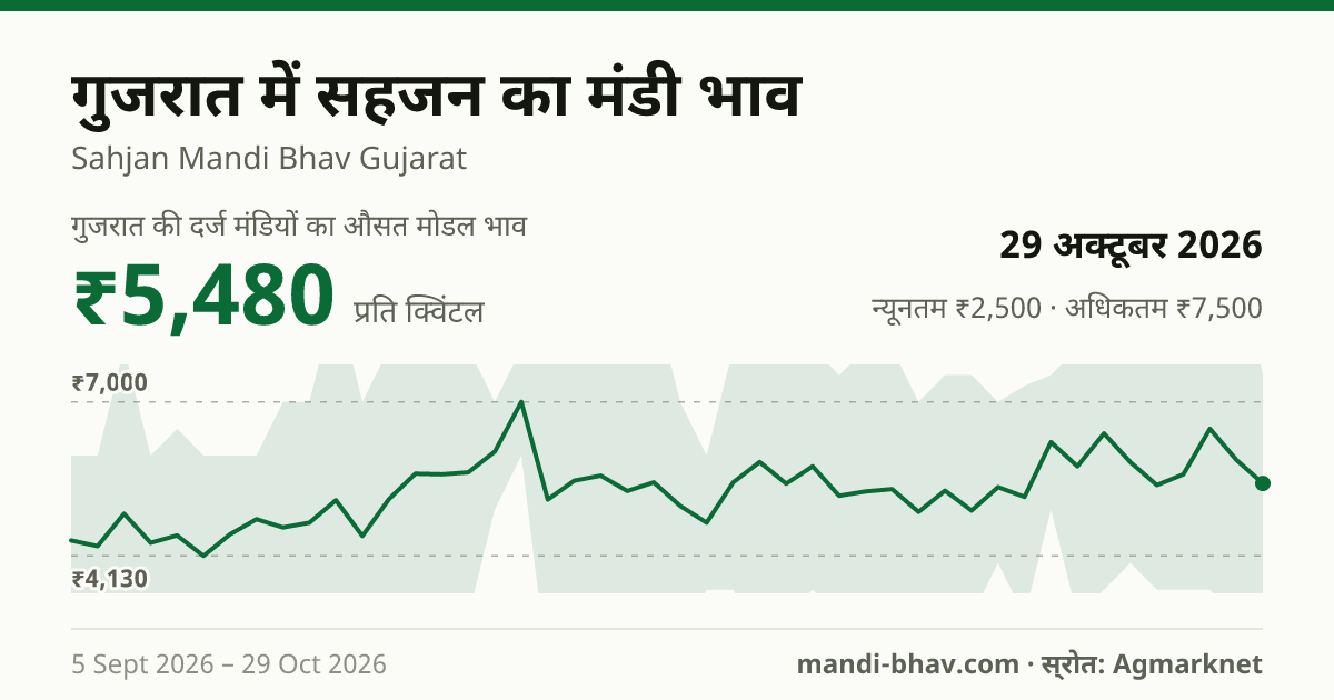 गुजरात में सहजन का मंडी भाव 29 अक्टूबर 2026: औसत मोडल ₹5,438 प्रति क्विंटल, भाव के रुझान का चार्ट