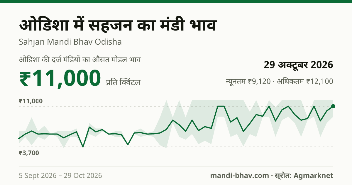 ओडिशा में सहजन का मंडी भाव 29 अक्टूबर 2026: औसत मोडल ₹11,000 प्रति क्विंटल, भाव के रुझान का चार्ट