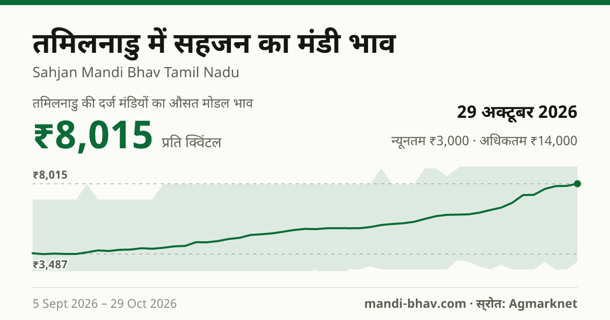 तमिलनाडु में सहजन का मंडी भाव 29 अक्टूबर 2026: औसत मोडल ₹8,015 प्रति क्विंटल, भाव के रुझान का चार्ट