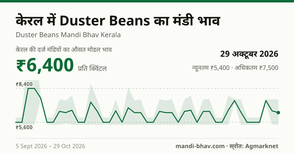 केरल में Duster Beans का मंडी भाव 29 अक्टूबर 2026: औसत मोडल ₹5,600 प्रति क्विंटल, भाव के रुझान का चार्ट