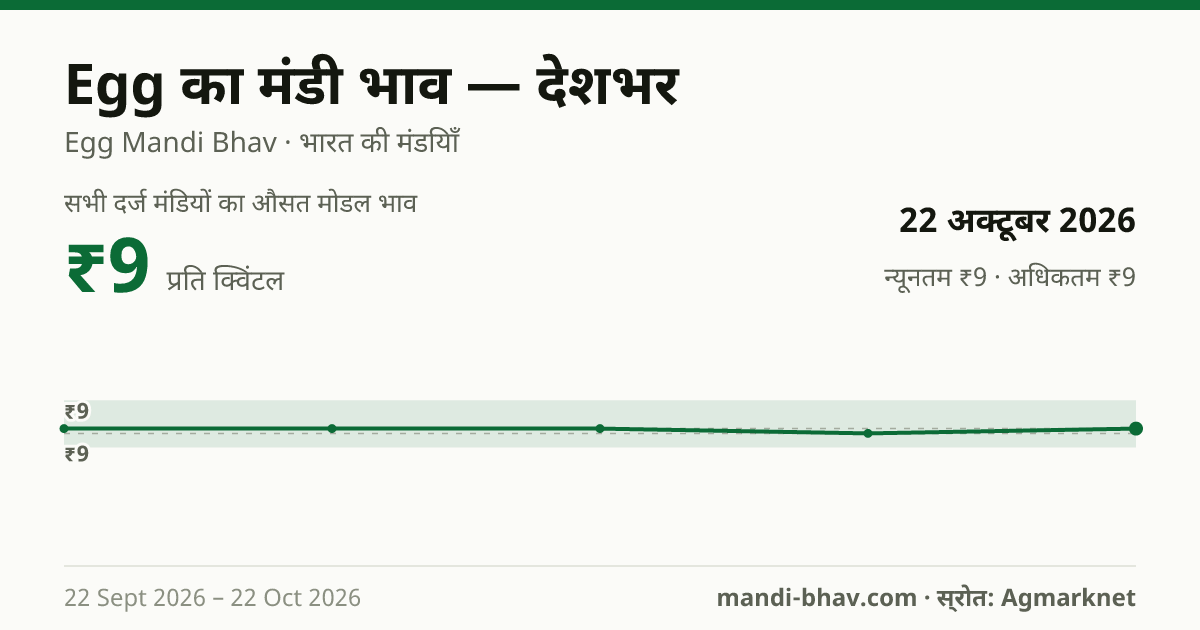 देशभर में Egg का मंडी भाव 22 अक्टूबर 2026: औसत मोडल ₹9 प्रति क्विंटल, भाव के रुझान का चार्ट