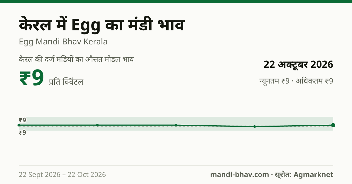 केरल में Egg का मंडी भाव 22 अक्टूबर 2026: औसत मोडल ₹9 प्रति क्विंटल, भाव के रुझान का चार्ट