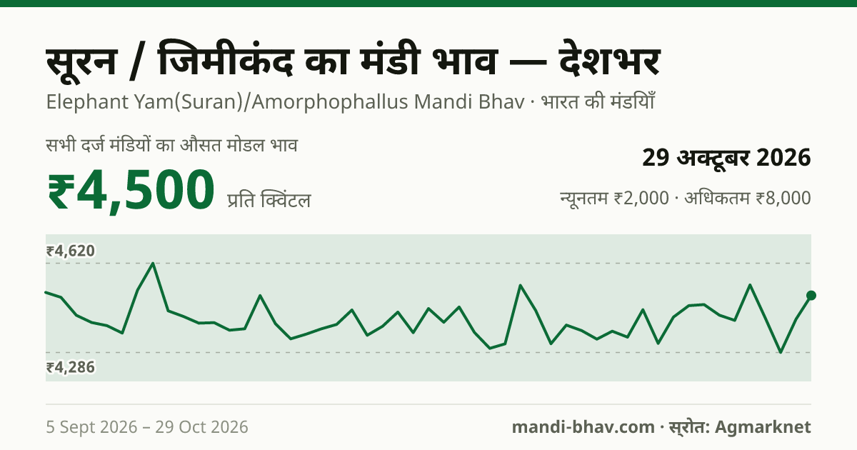 देशभर में सूरन / जिमीकंद का मंडी भाव 29 अक्टूबर 2026: औसत मोडल ₹4,522 प्रति क्विंटल, भाव के रुझान का चार्ट