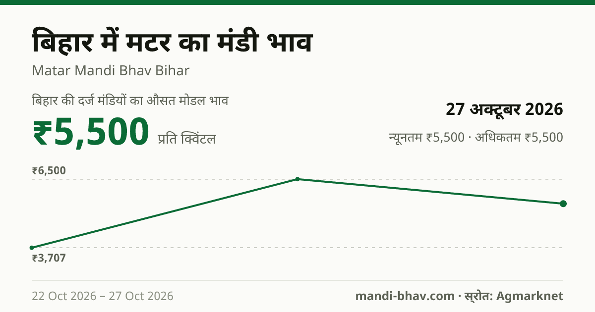 बिहार में मटर का मंडी भाव 27 अक्टूबर 2026: औसत मोडल ₹5,500 प्रति क्विंटल, भाव के रुझान का चार्ट