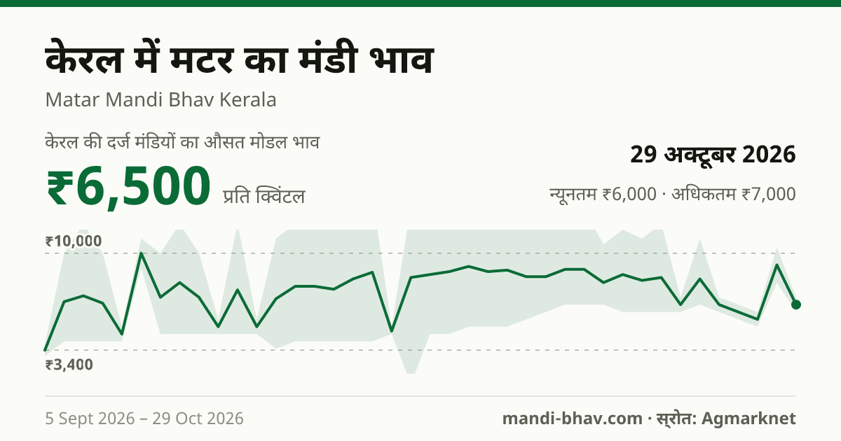 केरल में मटर का मंडी भाव 29 अक्टूबर 2026: औसत मोडल ₹6,500 प्रति क्विंटल, भाव के रुझान का चार्ट