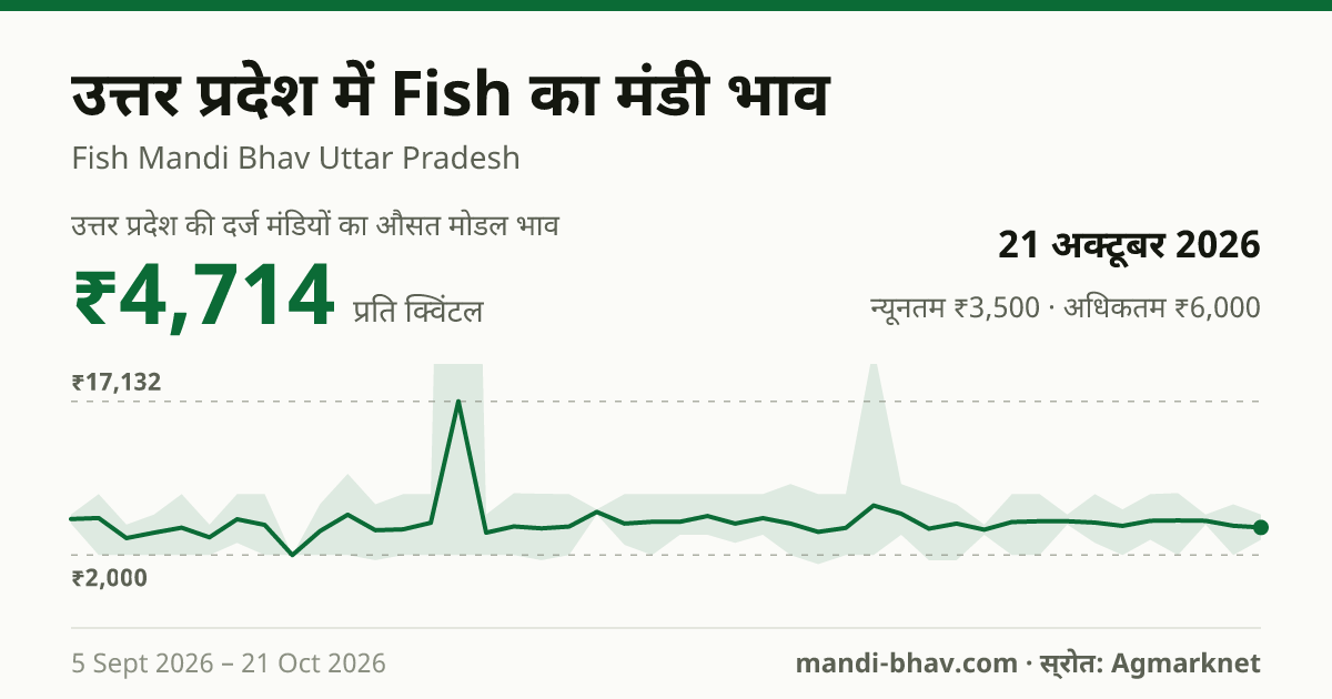 उत्तर प्रदेश में Fish का मंडी भाव 21 अक्टूबर 2026: औसत मोडल ₹4,714 प्रति क्विंटल, भाव के रुझान का चार्ट