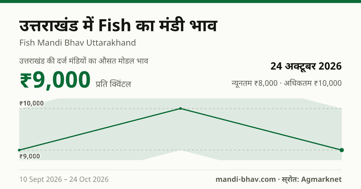 उत्तराखंड में Fish का मंडी भाव 24 अक्टूबर 2026: औसत मोडल ₹9,000 प्रति क्विंटल, भाव के रुझान का चार्ट