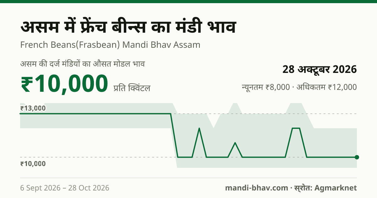 असम में फ्रेंच बीन्स का मंडी भाव 28 अक्टूबर 2026: औसत मोडल ₹10,000 प्रति क्विंटल, भाव के रुझान का चार्ट