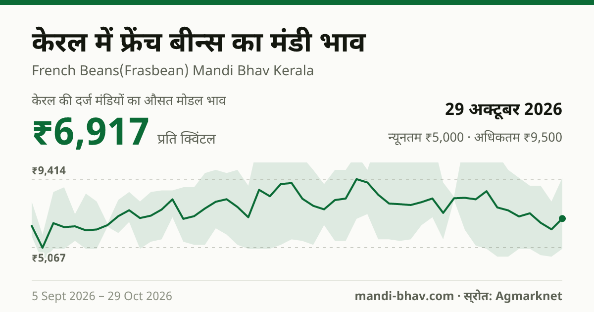 केरल में फ्रेंच बीन्स का मंडी भाव 29 अक्टूबर 2026: औसत मोडल ₹6,917 प्रति क्विंटल, भाव के रुझान का चार्ट