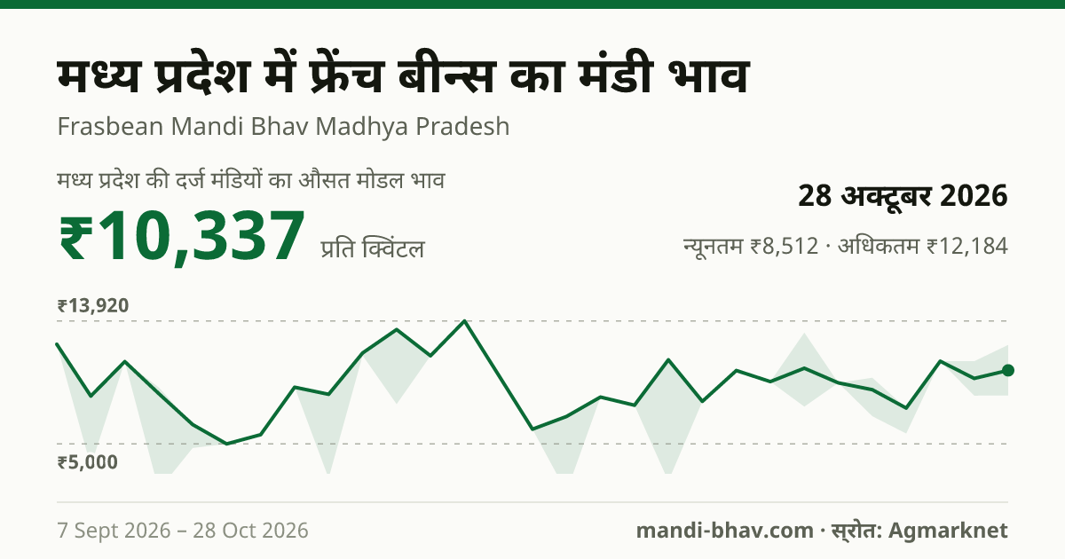 मध्य प्रदेश में फ्रेंच बीन्स का मंडी भाव 28 अक्टूबर 2026: औसत मोडल ₹10,337 प्रति क्विंटल, भाव के रुझान का चार्ट