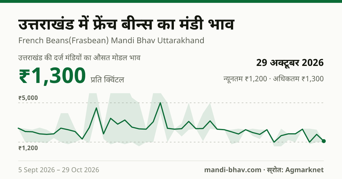उत्तराखंड में फ्रेंच बीन्स का मंडी भाव 29 अक्टूबर 2026: औसत मोडल ₹1,300 प्रति क्विंटल, भाव के रुझान का चार्ट