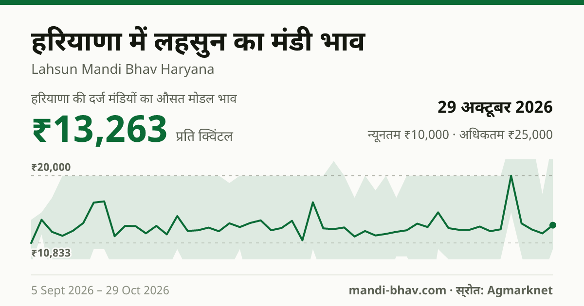 हरियाणा में लहसुन का मंडी भाव 29 अक्टूबर 2026: औसत मोडल ₹13,014 प्रति क्विंटल, भाव के रुझान का चार्ट