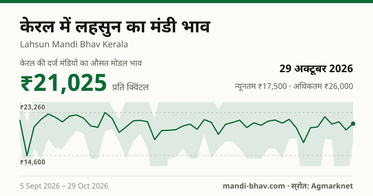 केरल में लहसुन का मंडी भाव 29 अक्टूबर 2026: औसत मोडल ₹21,025 प्रति क्विंटल, भाव के रुझान का चार्ट