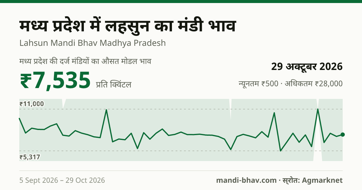मध्य प्रदेश में लहसुन का मंडी भाव 29 अक्टूबर 2026: औसत मोडल ₹7,714 प्रति क्विंटल, भाव के रुझान का चार्ट