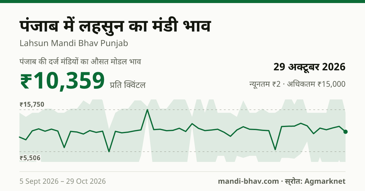पंजाब में लहसुन का मंडी भाव 29 अक्टूबर 2026: औसत मोडल ₹7,000 प्रति क्विंटल, भाव के रुझान का चार्ट