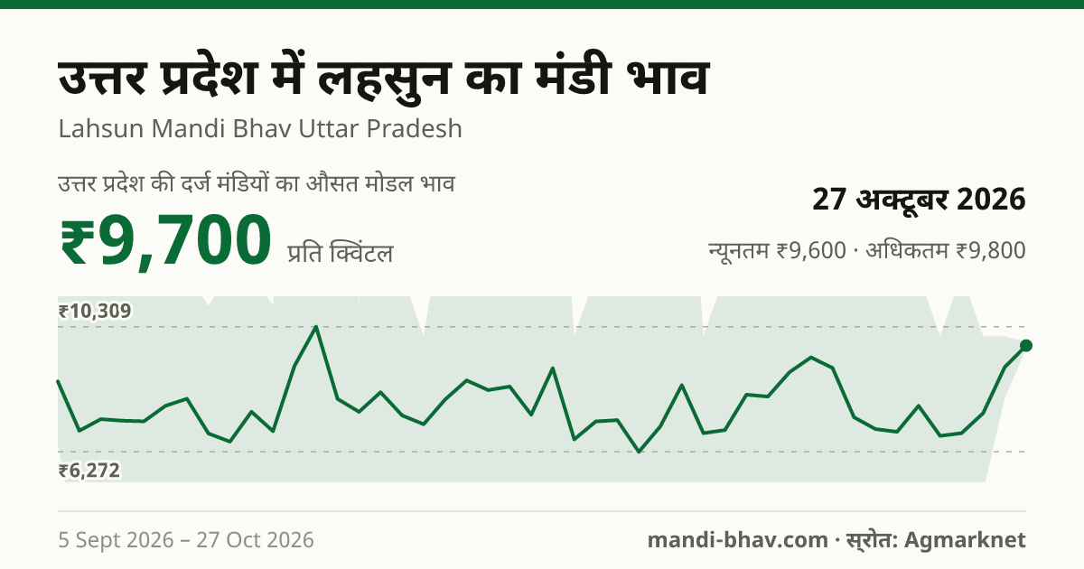 उत्तर प्रदेश में लहसुन का मंडी भाव 27 अक्टूबर 2026: औसत मोडल ₹9,700 प्रति क्विंटल, भाव के रुझान का चार्ट
