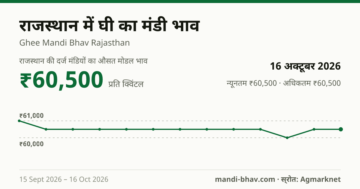 राजस्थान में घी का मंडी भाव 16 अक्टूबर 2026: औसत मोडल ₹60,500 प्रति क्विंटल, भाव के रुझान का चार्ट