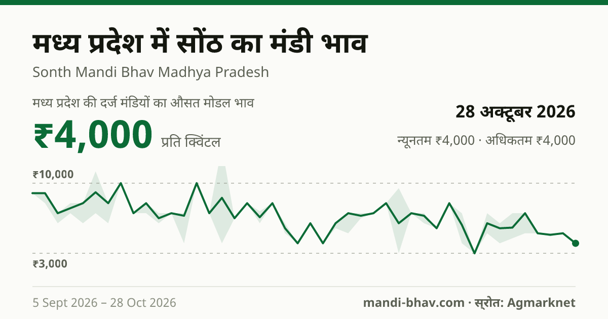 मध्य प्रदेश में सोंठ का मंडी भाव 28 अक्टूबर 2026: औसत मोडल ₹5,250 प्रति क्विंटल, भाव के रुझान का चार्ट