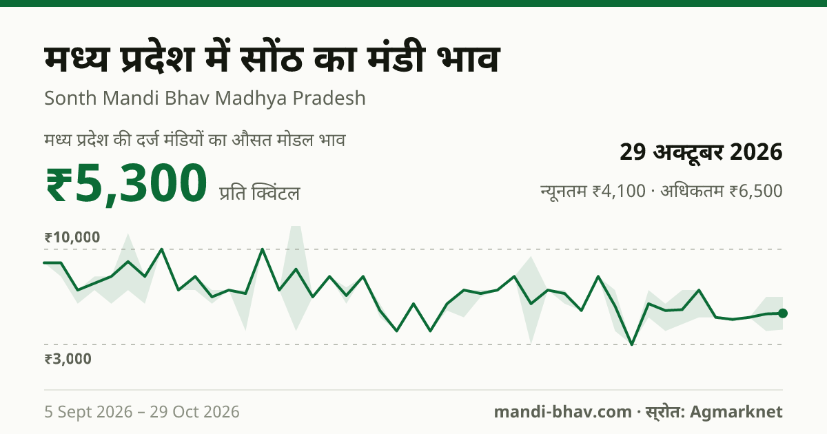 मध्य प्रदेश में सोंठ का मंडी भाव 29 अक्टूबर 2026: औसत मोडल ₹6,500 प्रति क्विंटल, भाव के रुझान का चार्ट